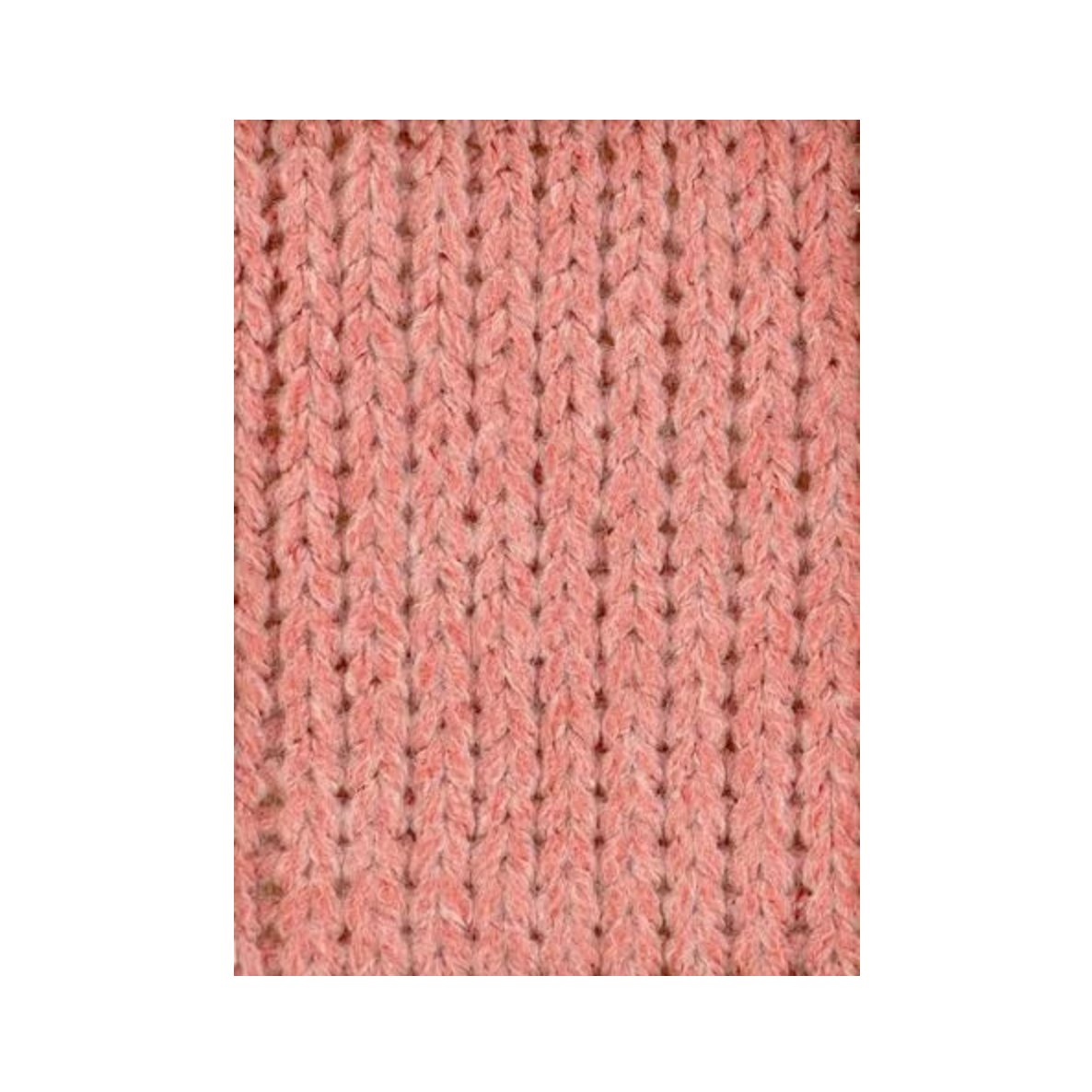 Barisienne 7 Fraisier Blanc Bergère de France