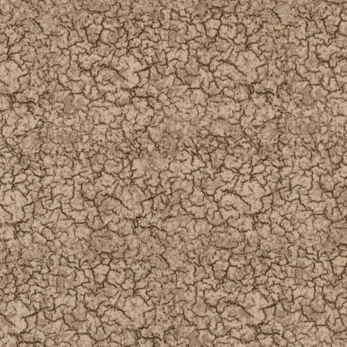 tissu michael miller dinosaur tracks beige