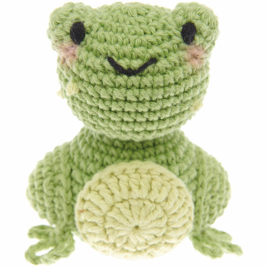 Kit Crochet Ricorumi Grenouille