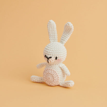 Kit Crochet Ricorumi Lapin