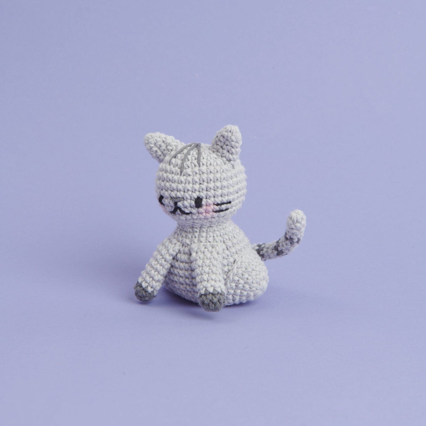 Kit Crochet Ricorumi Chat