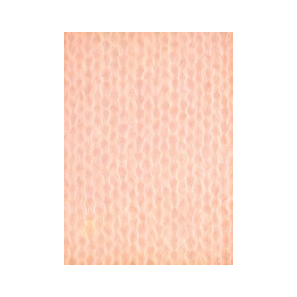 Dragée
