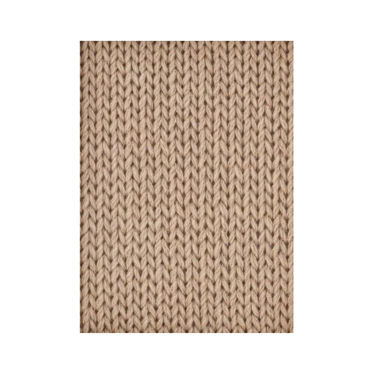 Pelote de fil Coton Mérinos coloris Amande de Bergère de France, 50g, composition 50% coton bio 50% mérinos