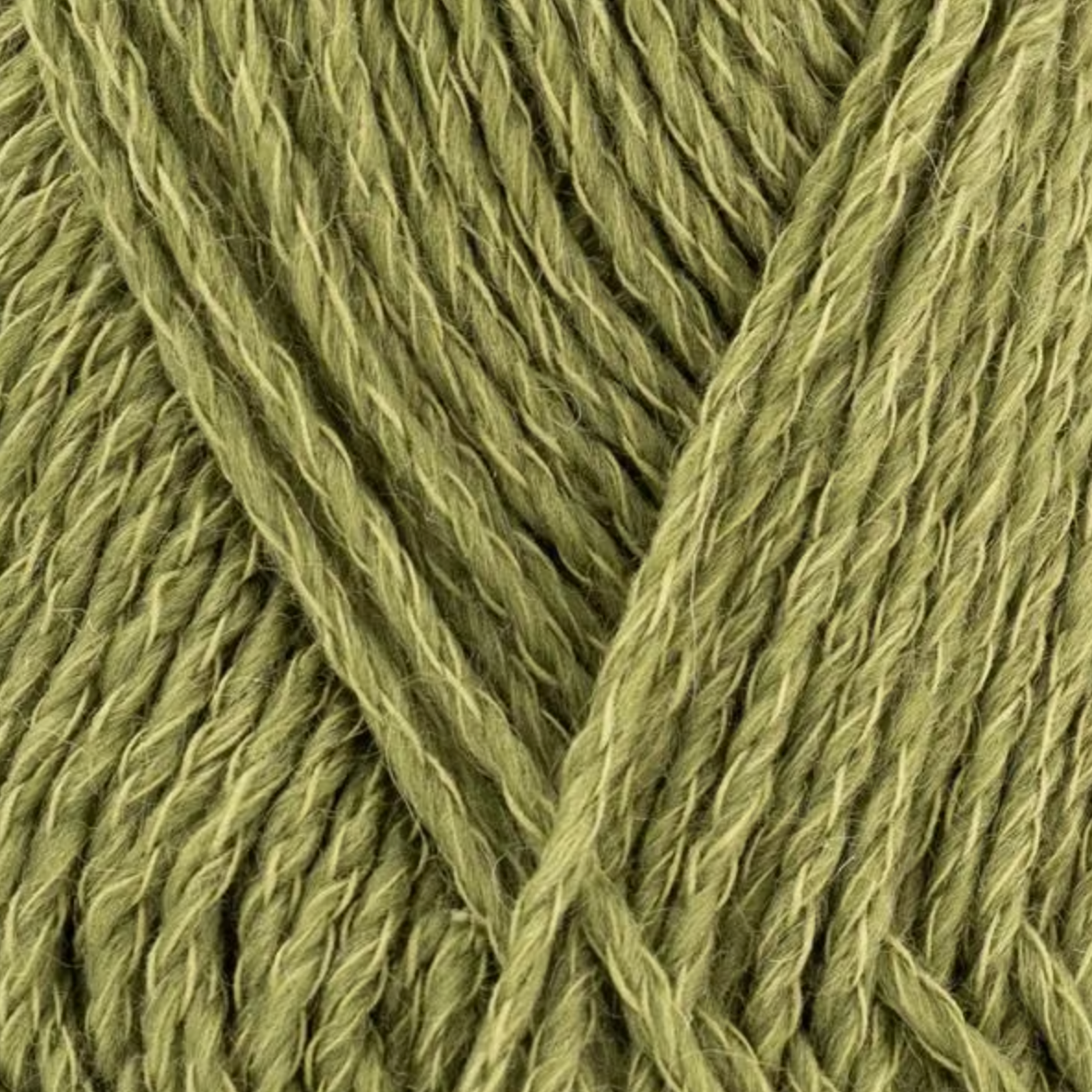 Basilic