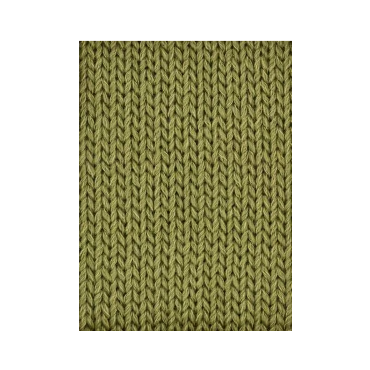 Basilic