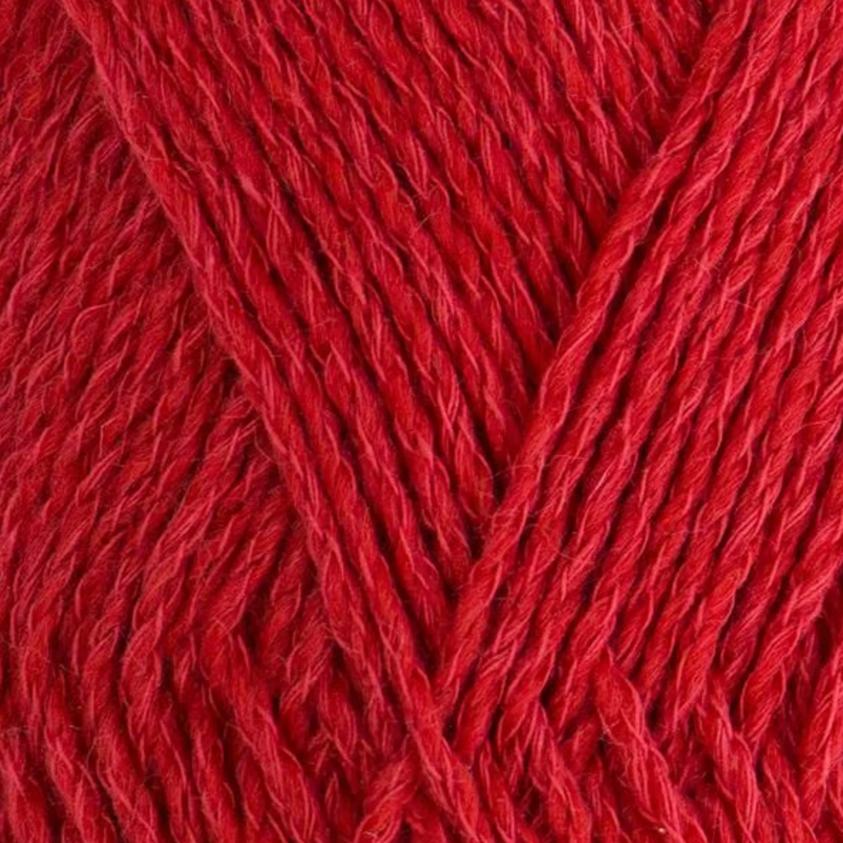 Coquelicot