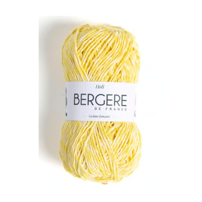Laine Holi Bergère de France Coton Bio Multicolore : Fil Unique pour Tricots Lumineux et Écoresponsables
