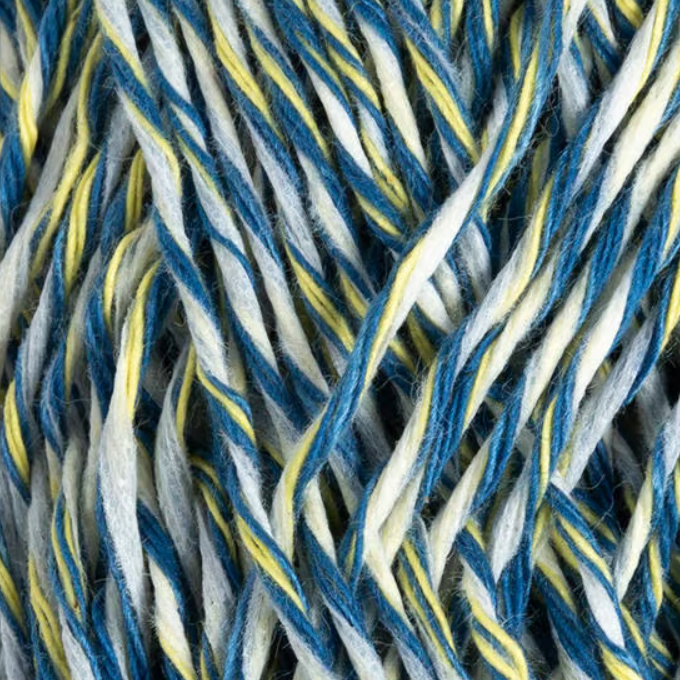 Laine Holi Bergère de France Coton Bio Multicolore : Fil Unique pour Tricots Lumineux et Écoresponsables