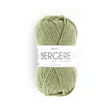 Lichen