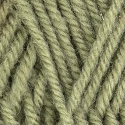 Lichen