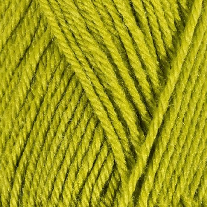 Idéale 4 Kiwi Bergère de France
