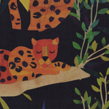 Leo Nuit